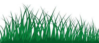 Vector grass silhouette