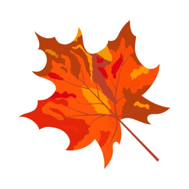 Sonbahar akçaağaç yaprağı