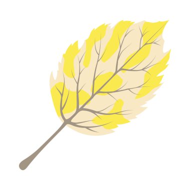 Sonbahar huş yaprağı