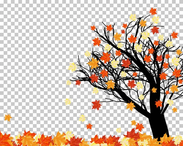 Autumn maples — Stock Vector