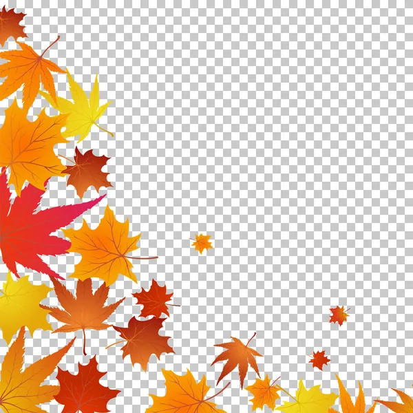 Herfst maples — Stockvector