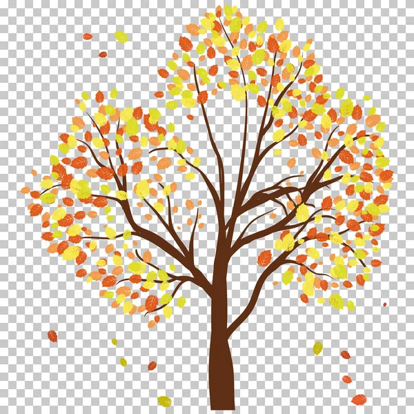 秋天的白桦 — 图库矢量图片