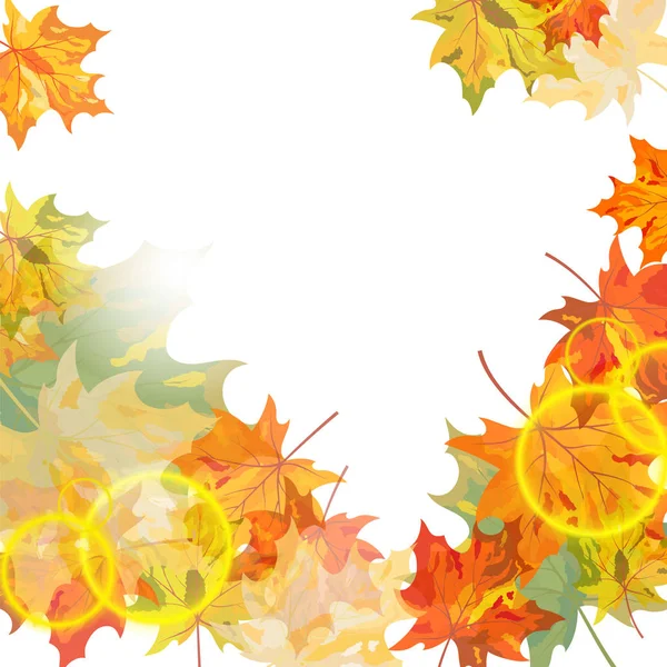 Autumn maple — Stock Vector