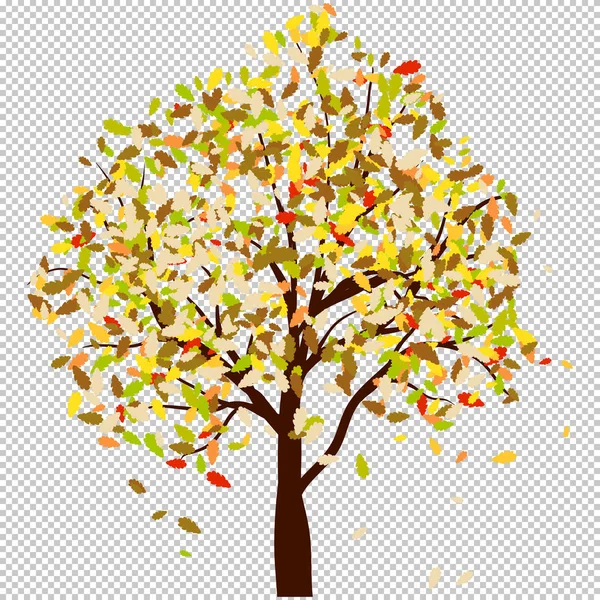 Autumn oak — Stock Vector