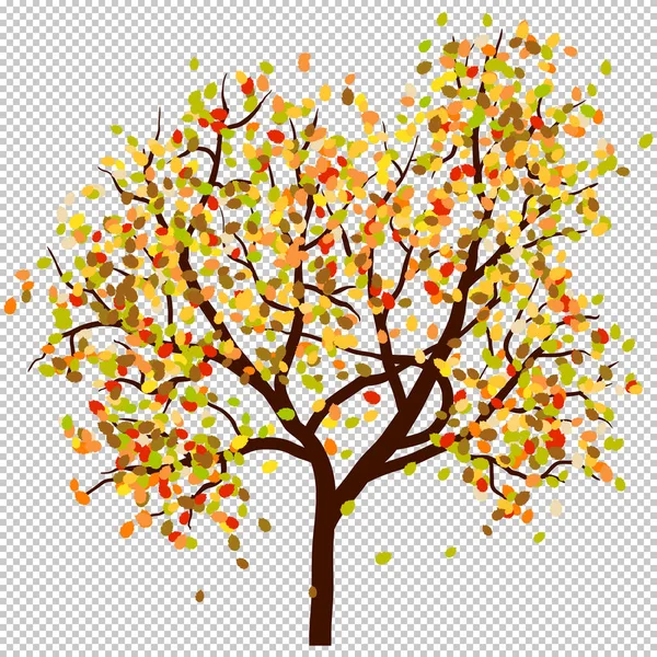 Autumn birch — Stock Vector