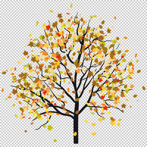 Albero autunnale — Vettoriale Stock