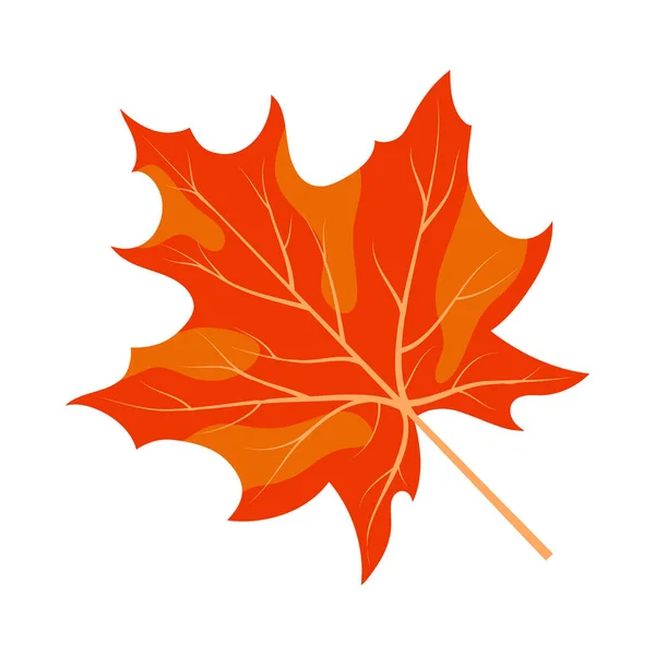 Осенний кленовый лист — стоковый вектор
