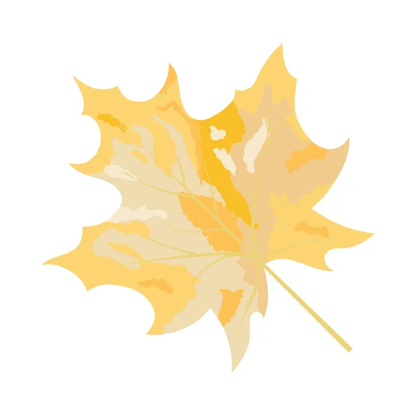 Autumn Maple Leaf — Stock Vector