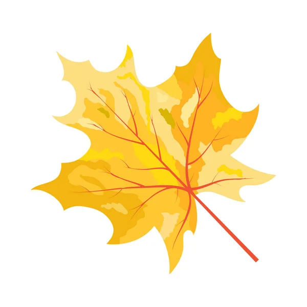 Feuille d'érable d'automne — Image vectorielle