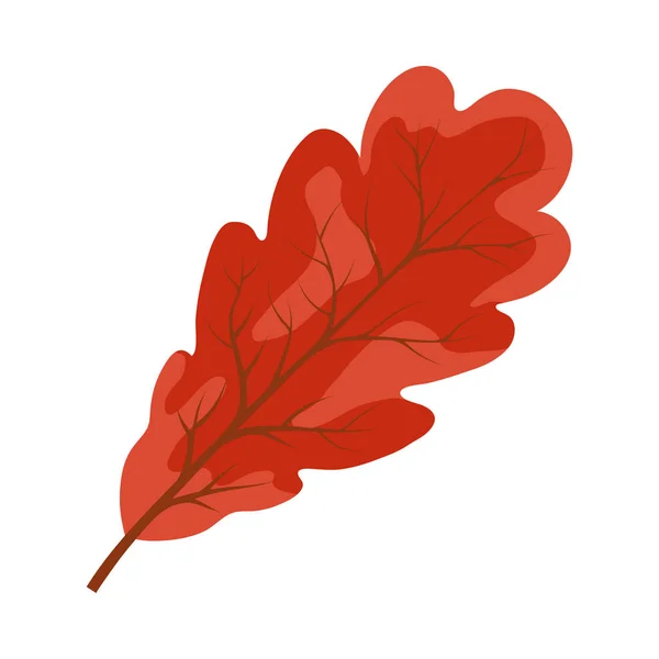 Feuille de chêne d'automne — Image vectorielle