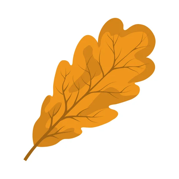 Feuille de chêne d'automne — Image vectorielle