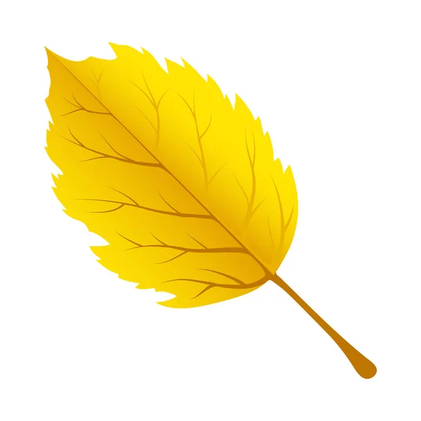 Hoja de árbol de otoño — Vector de stock