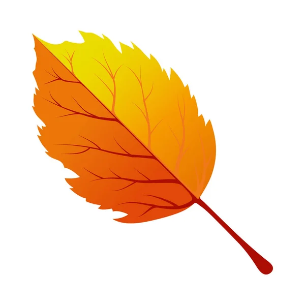 Folha de árvore de outono —  Vetores de Stock