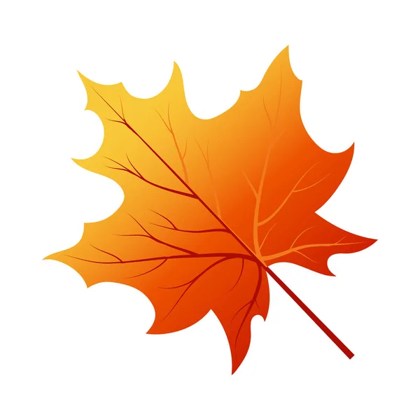 秋の木の葉 — ストックベクタ