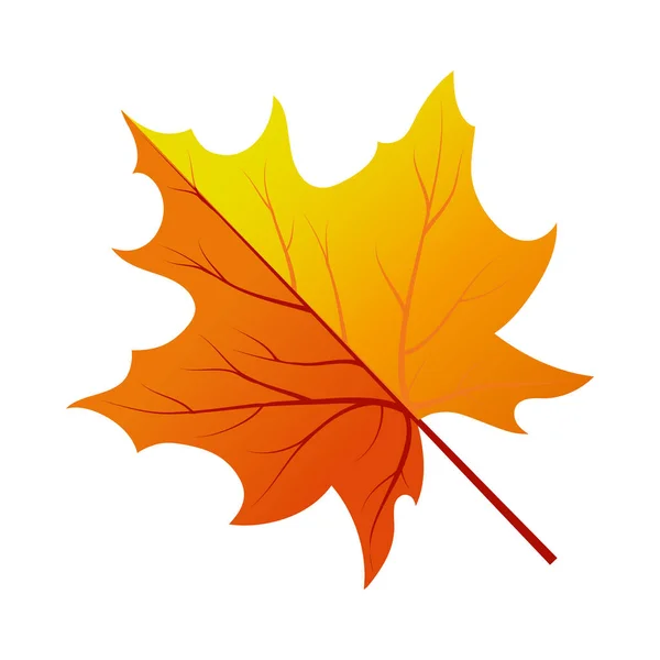 Hoja de árbol de otoño — Archivo Imágenes Vectoriales