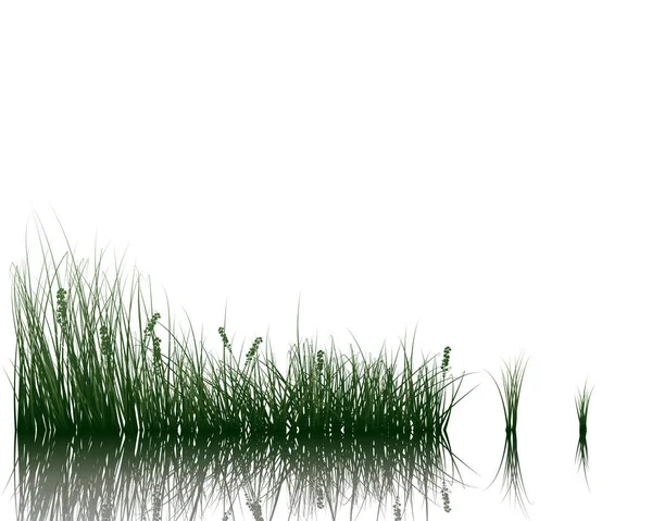 Prairie avec réflexion — Image vectorielle