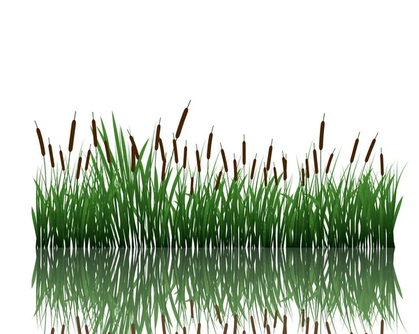 Prairie avec réflexion — Image vectorielle