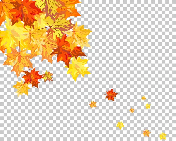 Hojas de arce de otoño — Vector de stock