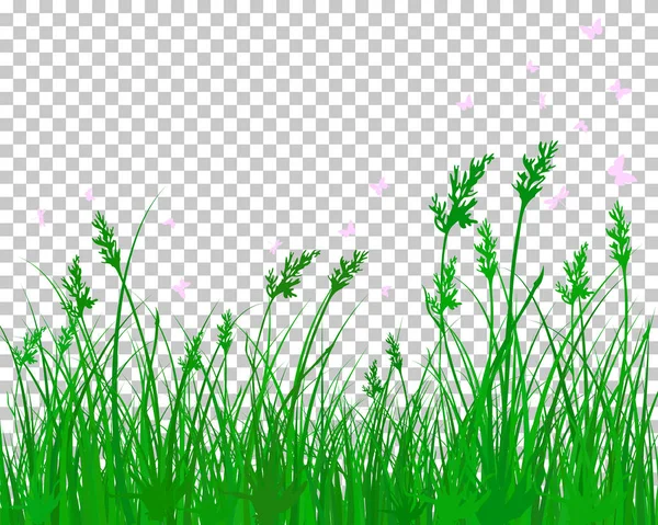 Pradera de verano — Vector de stock