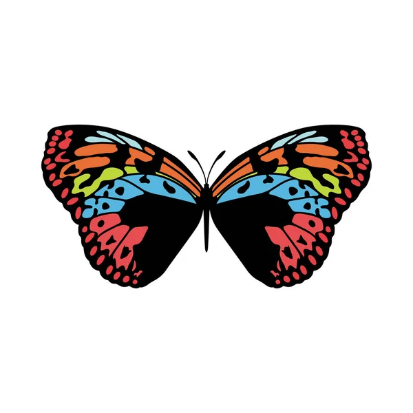Ikona motýla — Stockový vektor