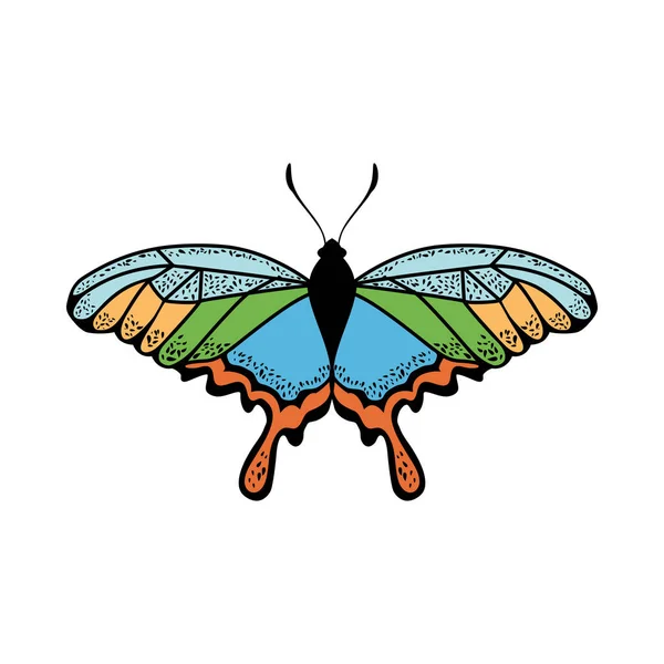 Ícono de la mariposa — Archivo Imágenes Vectoriales