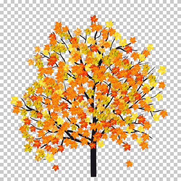 Automne (Automne) Maple Background — Image vectorielle