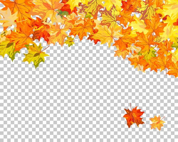 Otoño (otoño) Fondo de arce — Vector de stock