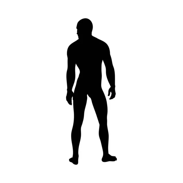 Silhouette de pose debout homme — Image vectorielle