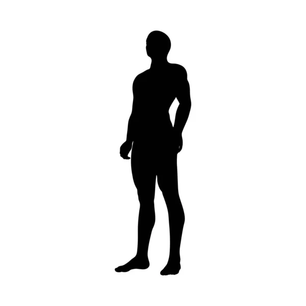 Standing Pose Man Silhouette — Stock Vector