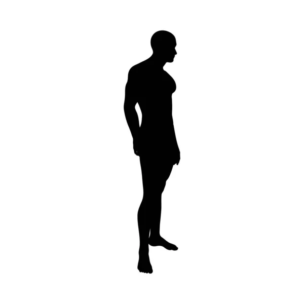 Staande pose man silhouet — Stockvector