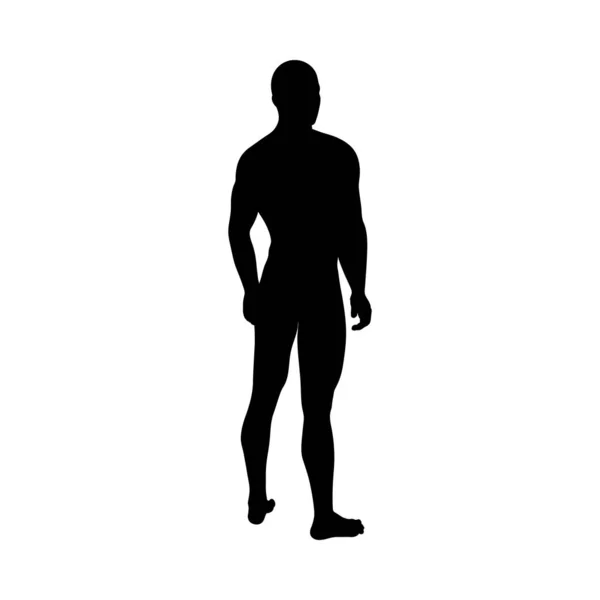 Silhouette de pose debout homme — Image vectorielle