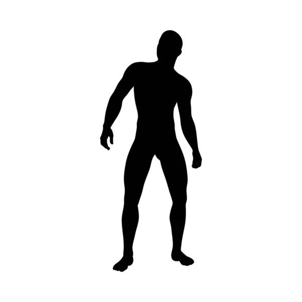 Silhouette de pose debout homme — Image vectorielle