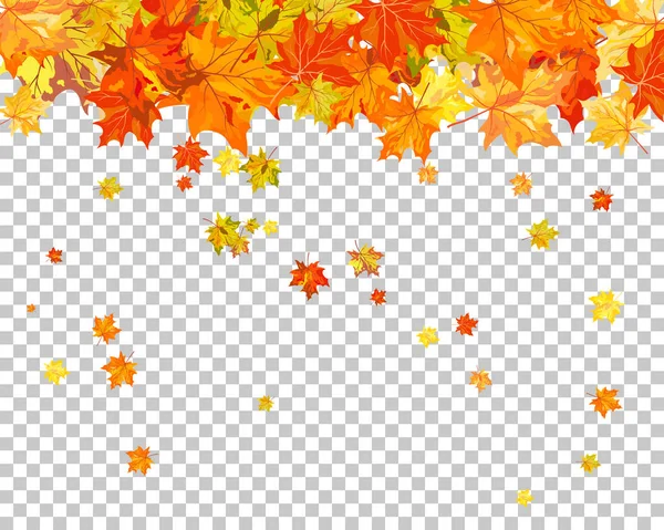 Otoño (otoño) Fondo de arce — Vector de stock