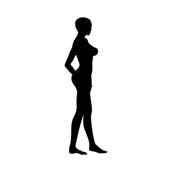 Naakte sexy meisjes silhouet — Stockvector