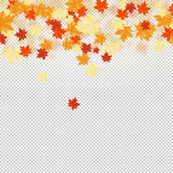 Otoño (otoño) Fondo de arce — Vector de stock