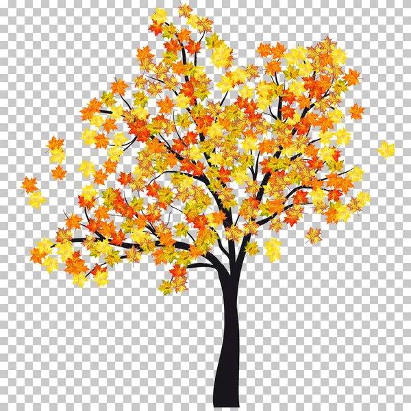 Podzim (podzim) javorový podklad — Stockový vektor