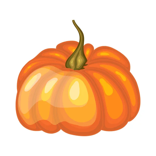 Calabaza naranja — Vector de stock