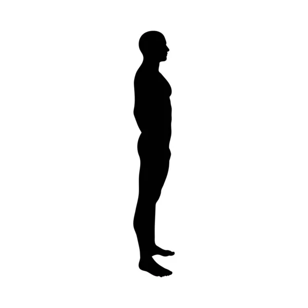 Stehende Pose Mann Silhouette — Stockvektor