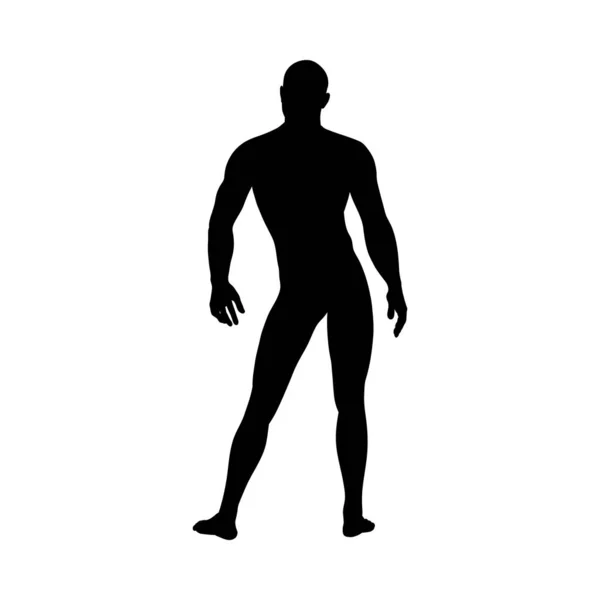 Silhouette de pose debout homme — Image vectorielle