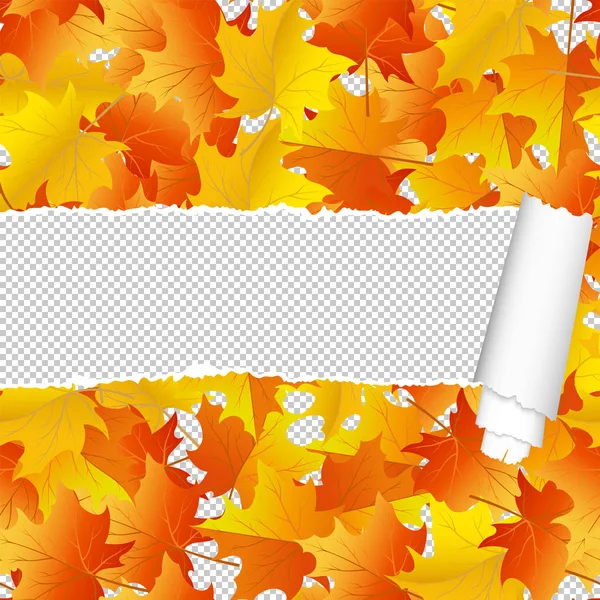 Patrón sin costura de arce de otoño con raya rasgada — Vector de stock