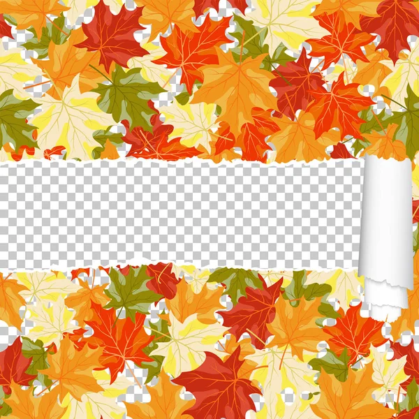 찢어진 줄무늬가있는 가을 단풍 나무 매끄러운 패턴 — 스톡 벡터