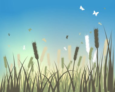 Sonbahar (Sonbahar) Çayır