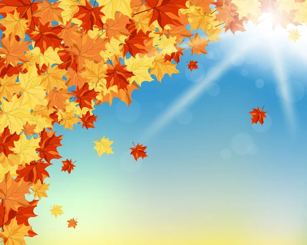 Herbst (Herbst) Hintergrund — Stockvektor