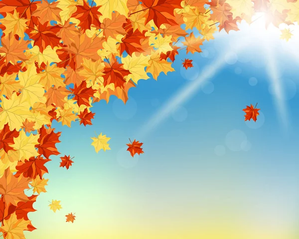 Fondo de otoño (otoño) — Vector de stock