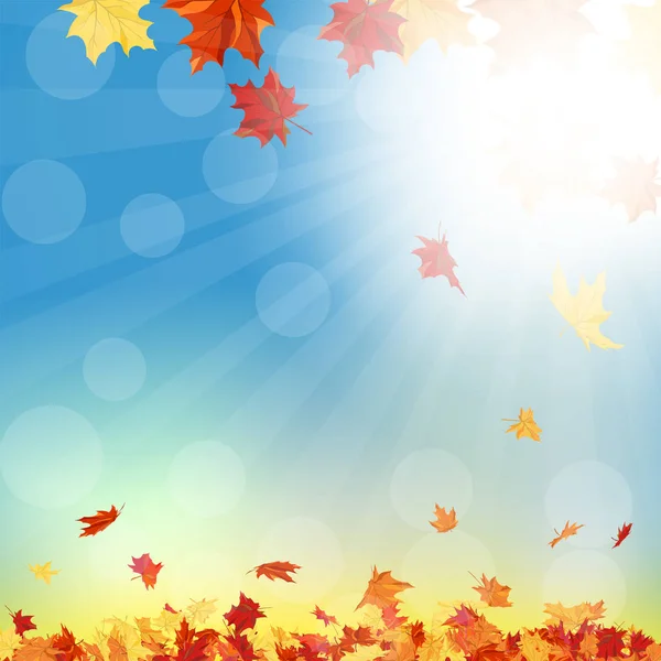 Fall (Autumn) Background — Stock Vector