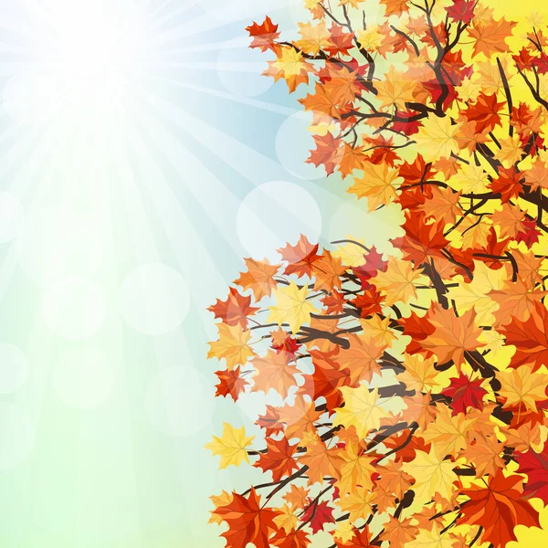 Fondo de otoño (otoño) — Vector de stock