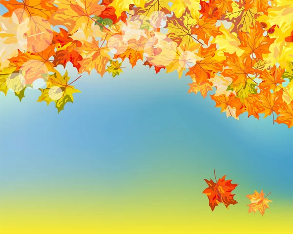 Fall (Autumn) Background — Stock Vector