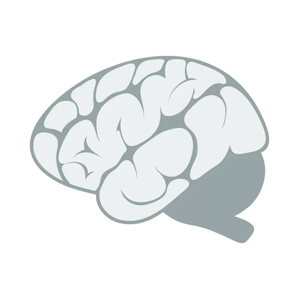 Brain Icon Flat Color Design Vector Illustration — Stock Vector