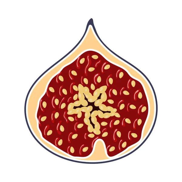 Icon Fig Fruit Colors Плоский Дизайн Цвета Векторная Миграция — стоковый вектор