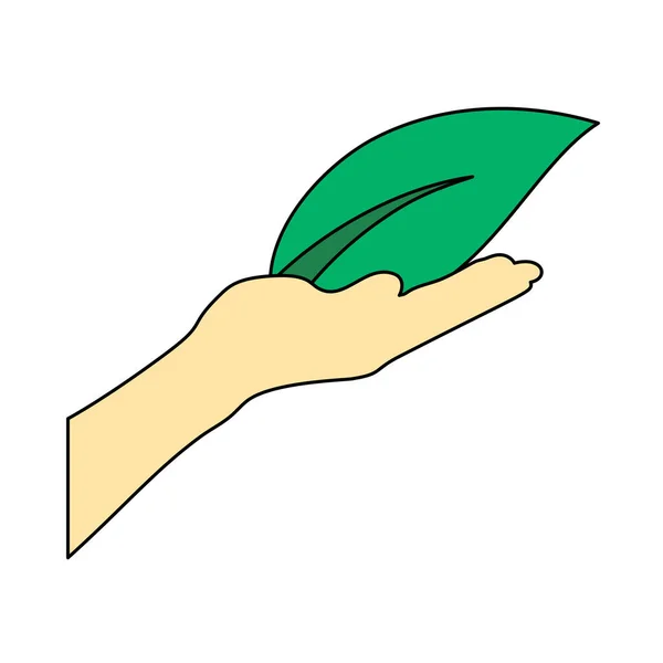 葉のアイコンを保持する手 概要カラーフィルデザイン ベクターイラスト — ストックベクタ